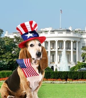 president dog
