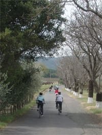 trek