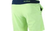 Birddogs Shorts