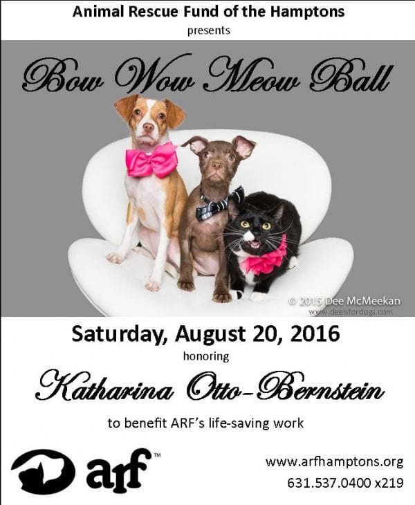 ARF Bow Wow ad(2)