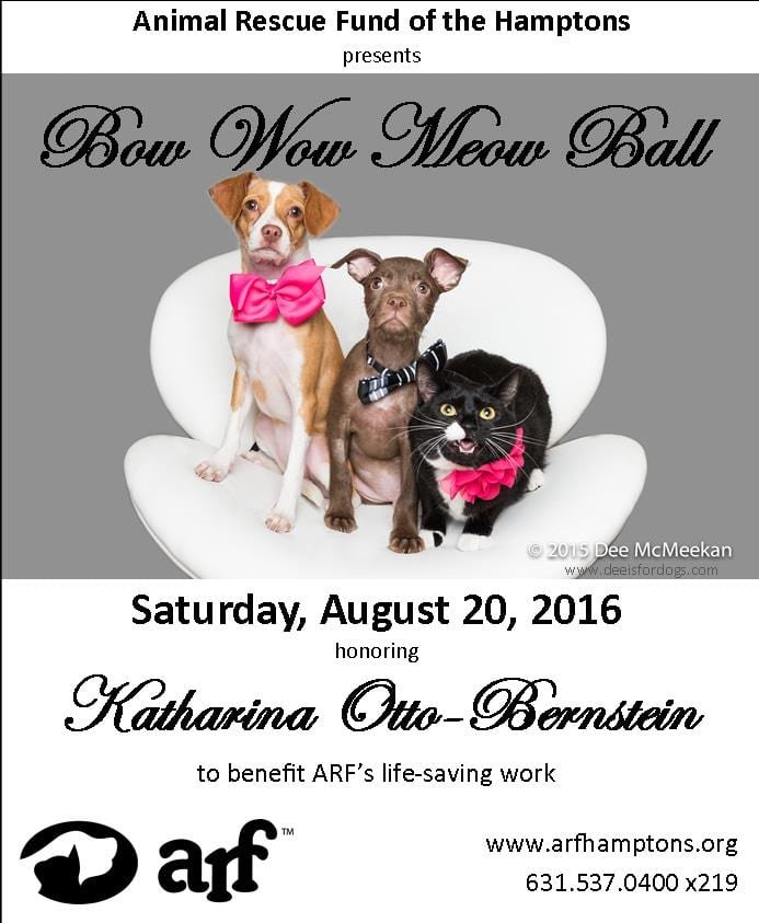 ARF Bow Wow ad