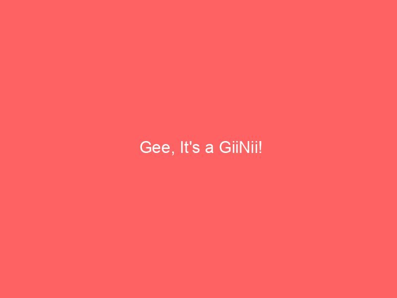 Gee, It's a GiiNii!