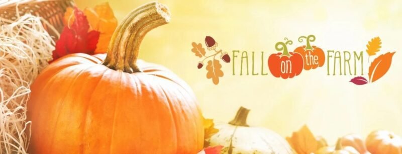 Fall on the Farm